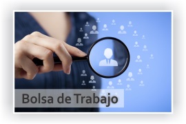 Bolsa de Trabajo